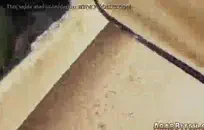 مفلس سمراء فاتنة تمتص والملاعين ديك كبيرة.