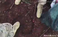 زوج كاميرا الويب 2 سأضع قضيبي الكبير النابض بداخلك، يا عزيزتي.